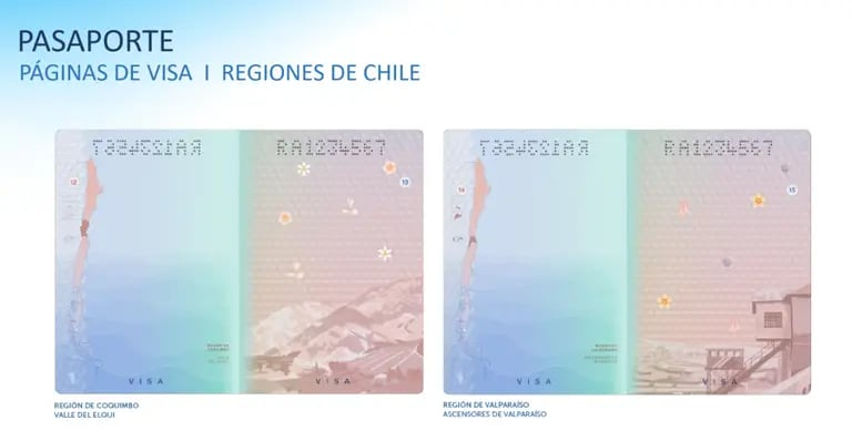 pasaporte 3