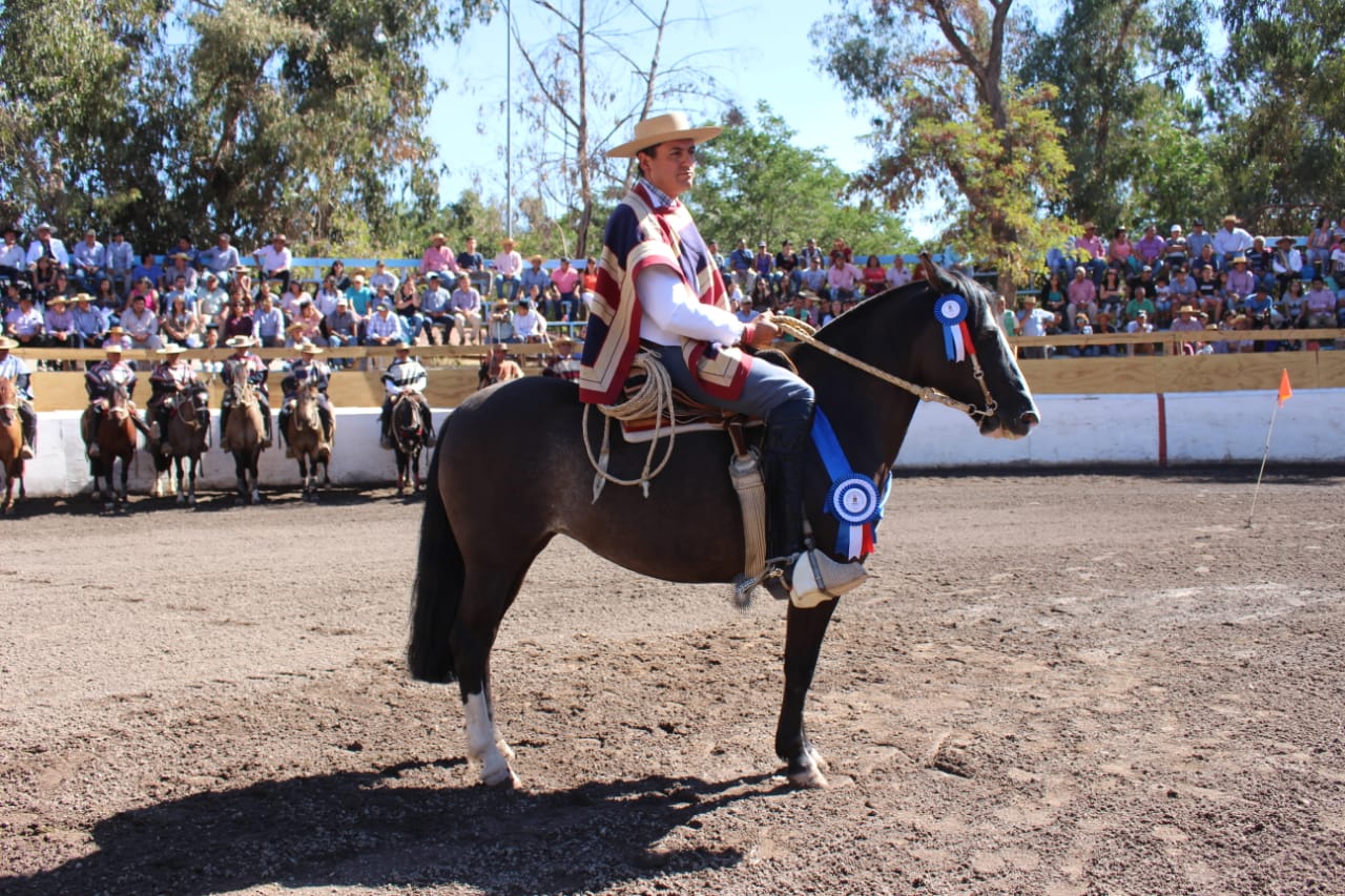 rodeo clasificatorio pirque 2019 15