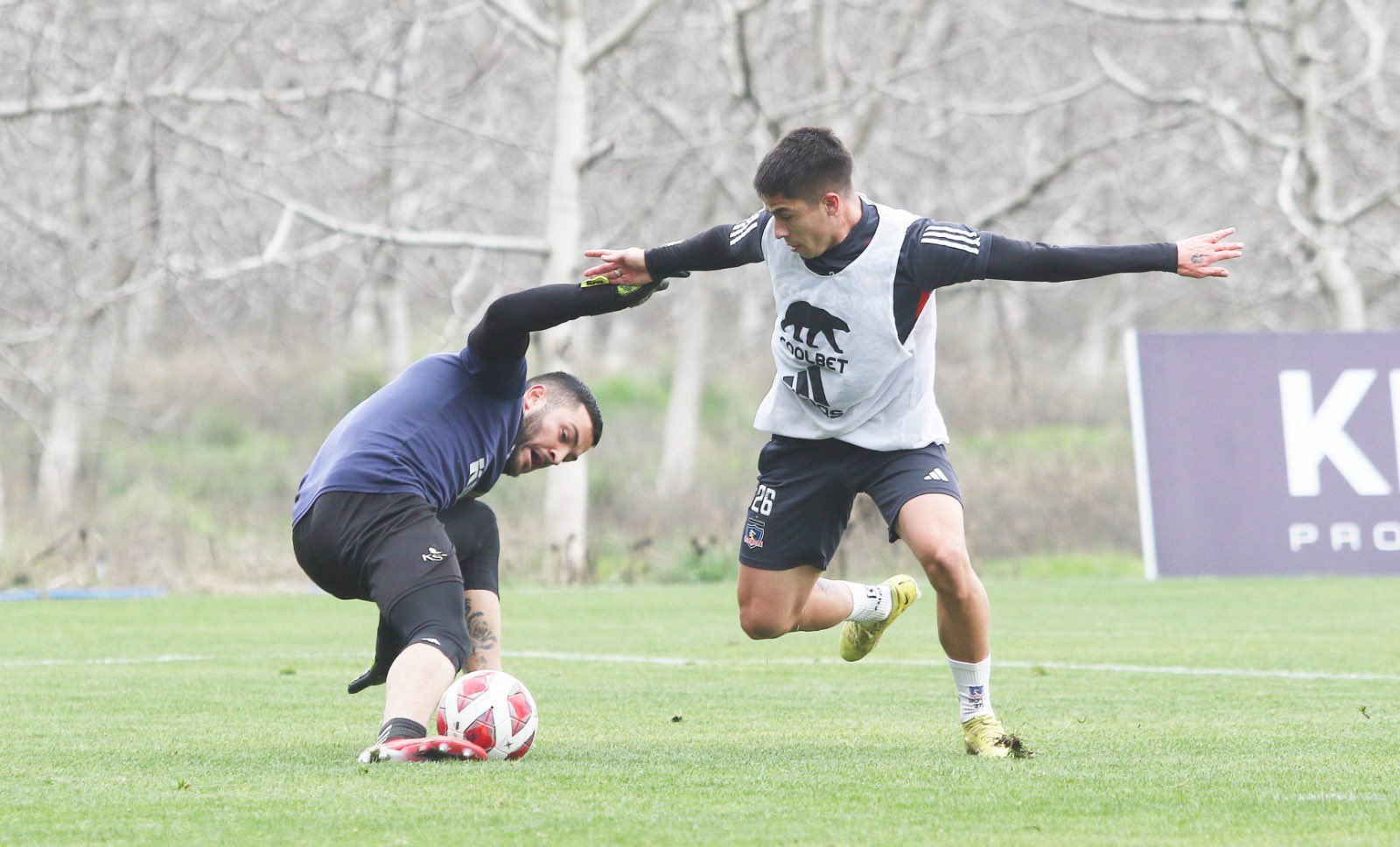 sifup colocolo20julb