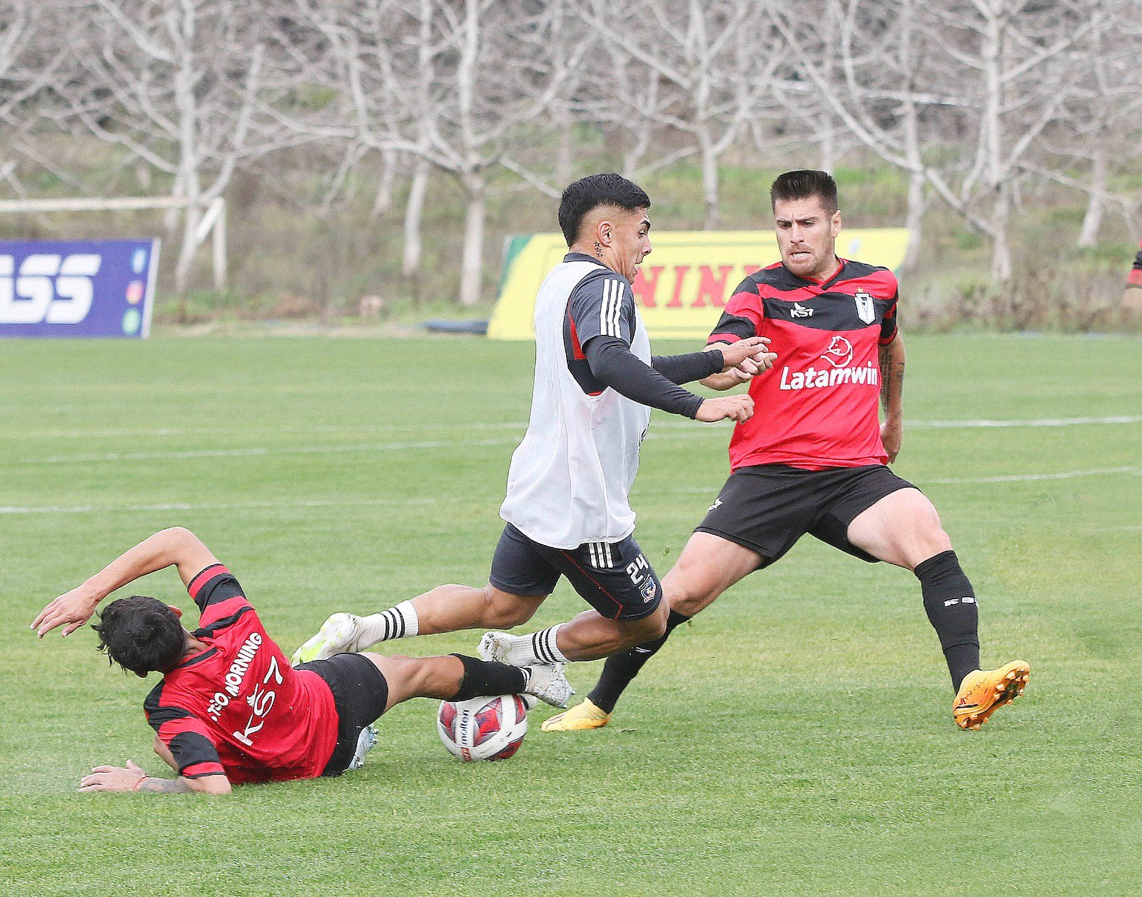 sifup colocolo20juld