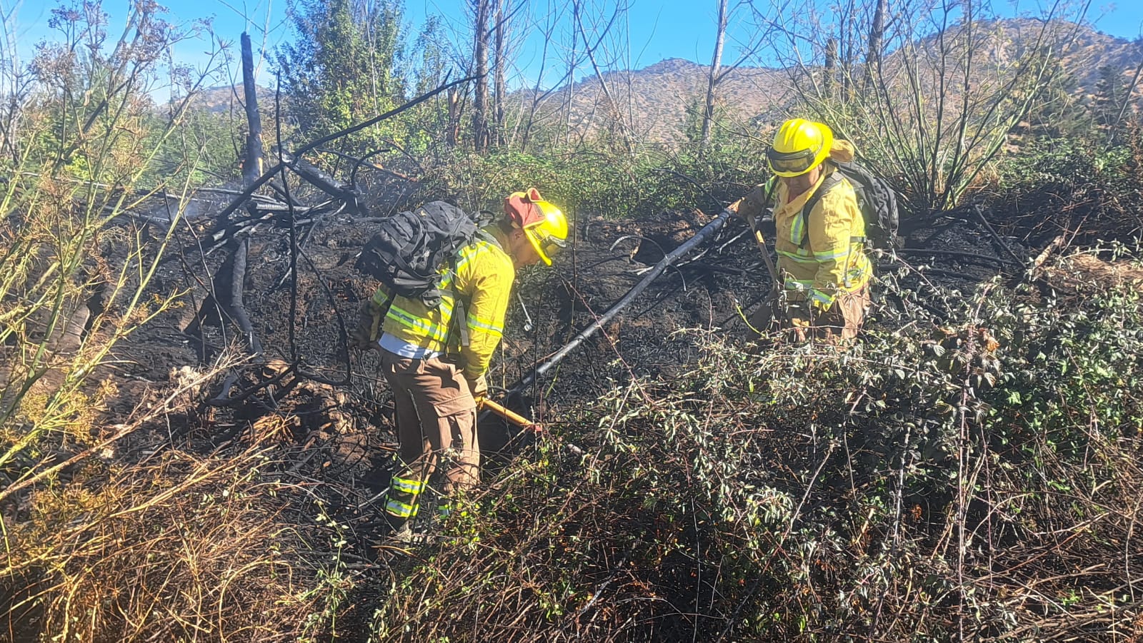 incendio lecheria 05