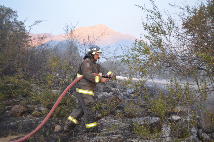 incendio sta rita01