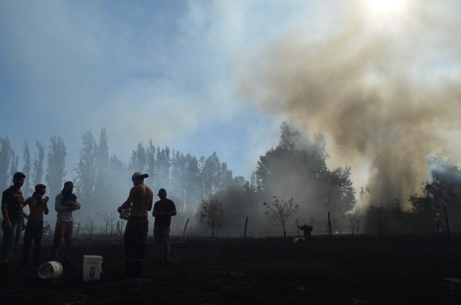 incendioforestalnogalada14