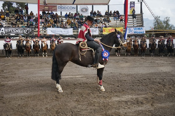 nacional rodeo escolar2023 e