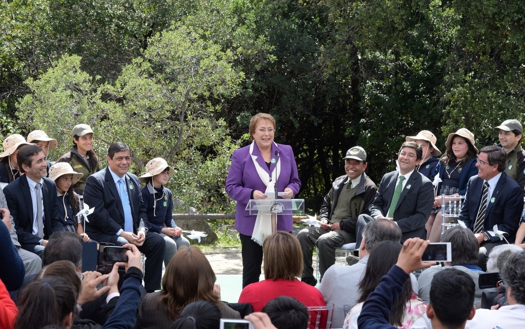 peña bachelet 001