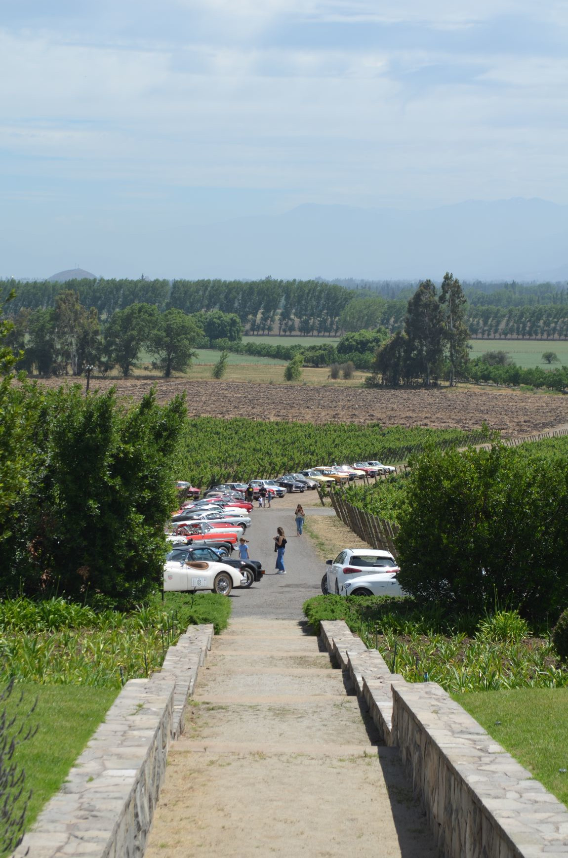 rally auto antiguos 14