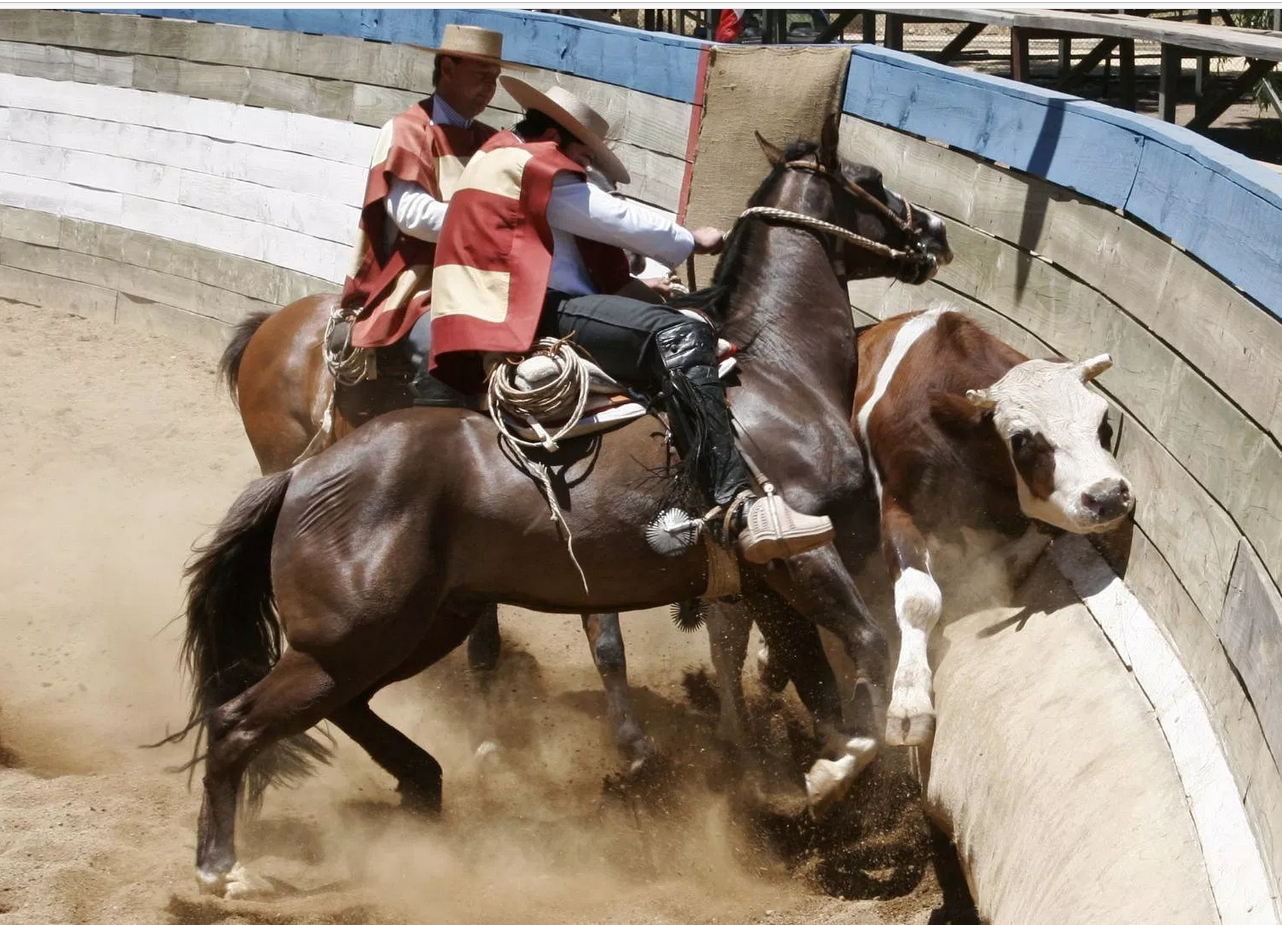 rodeo pirque chile