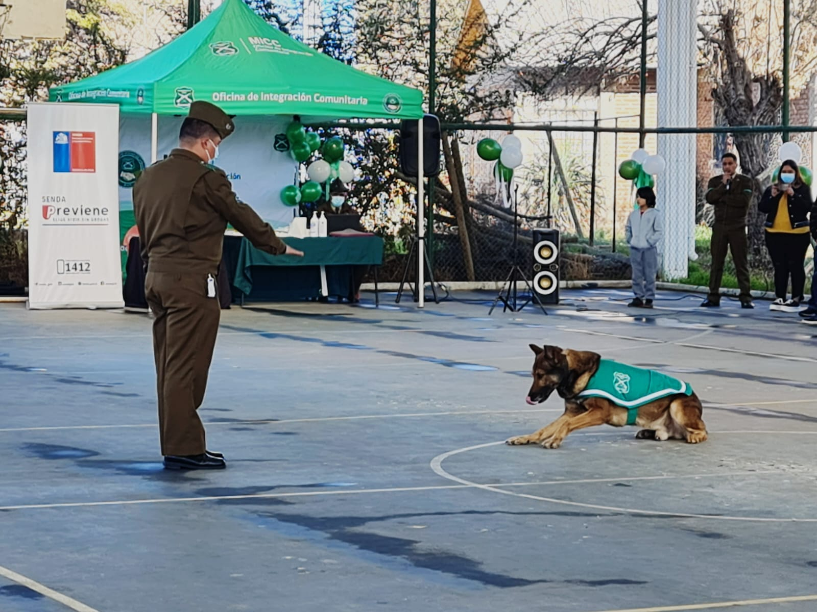 san jose obrero perros 044