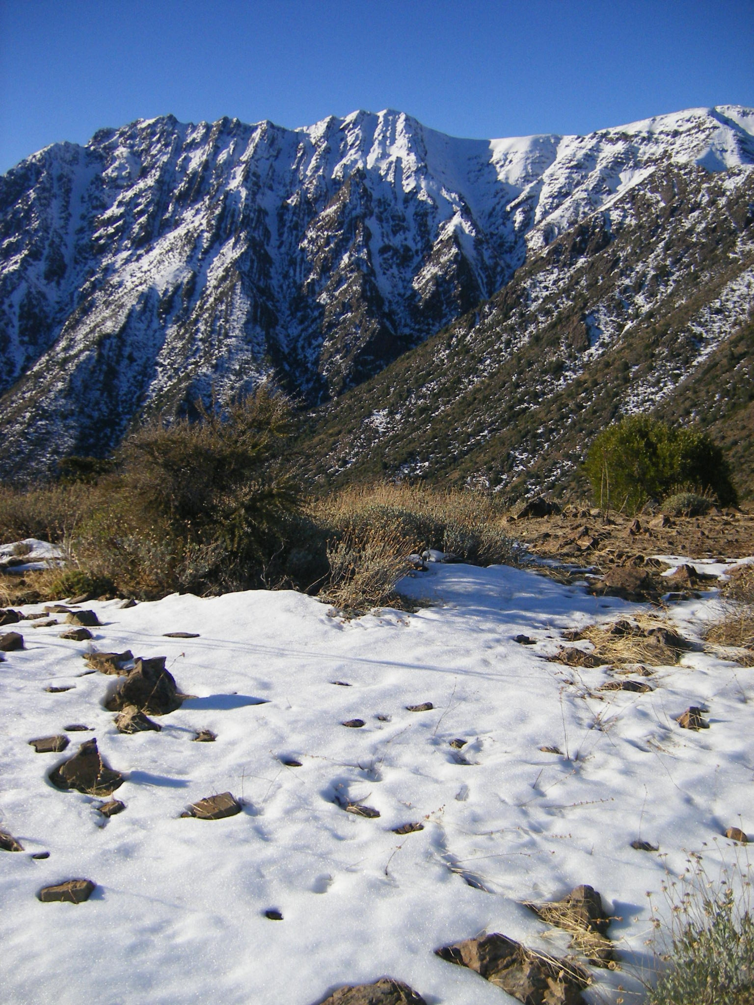 santuario torcazas111222