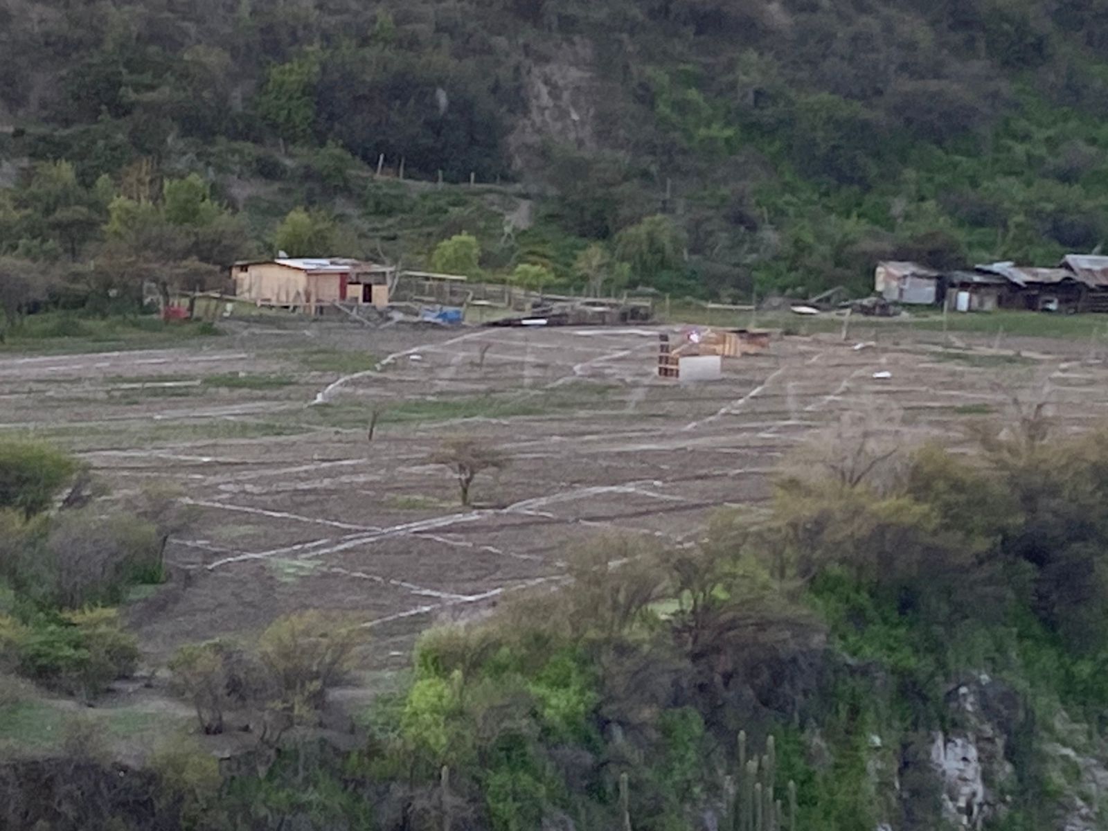 toma de casas viejas06