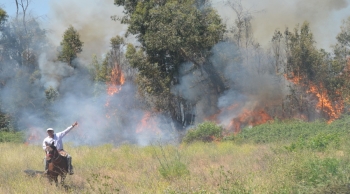 Incendio forestal en Pirque sector Colegio del Colonial. Incendio forestal en Pirque sector Colegio del Colonial video 01