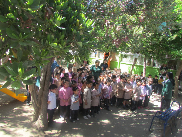 simulacro3b