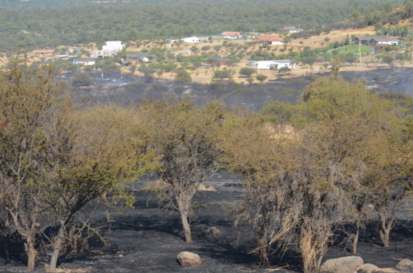 incendiovalle9