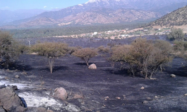 incendiovalle2
