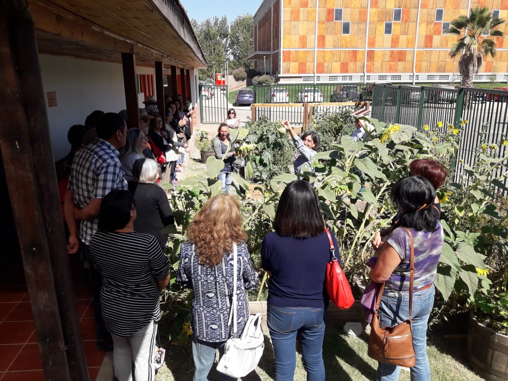 taller huerto03