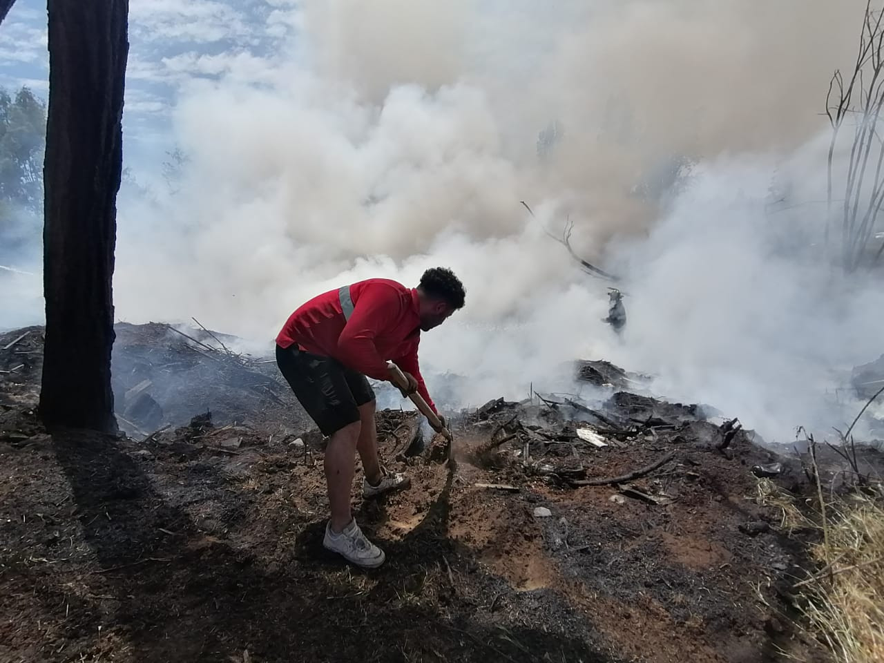 incendiosanvicente03