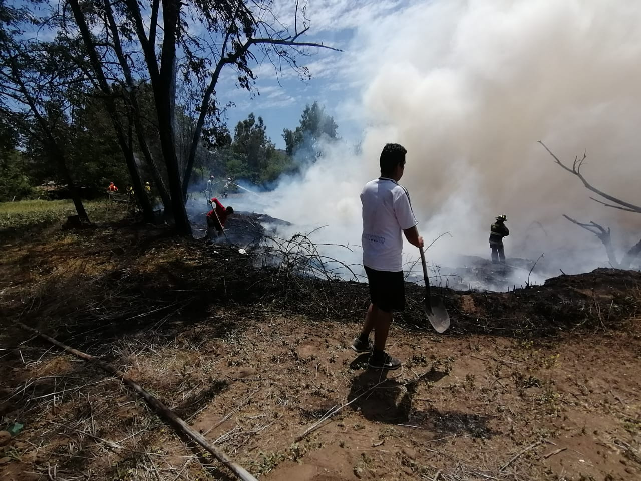 incendiosanvicente06
