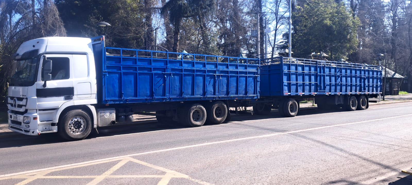 robo de camion rengo 01