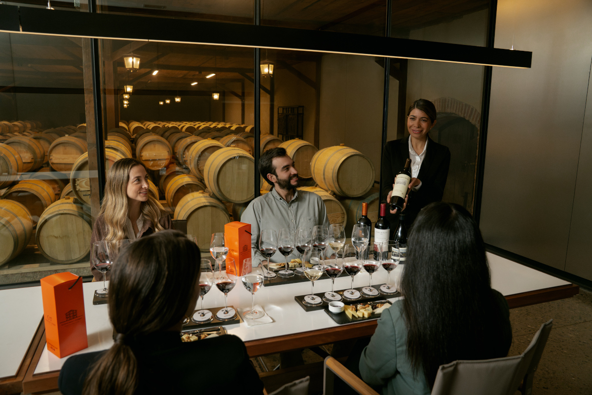 Degustación Cellar Bodega Del Alto 2