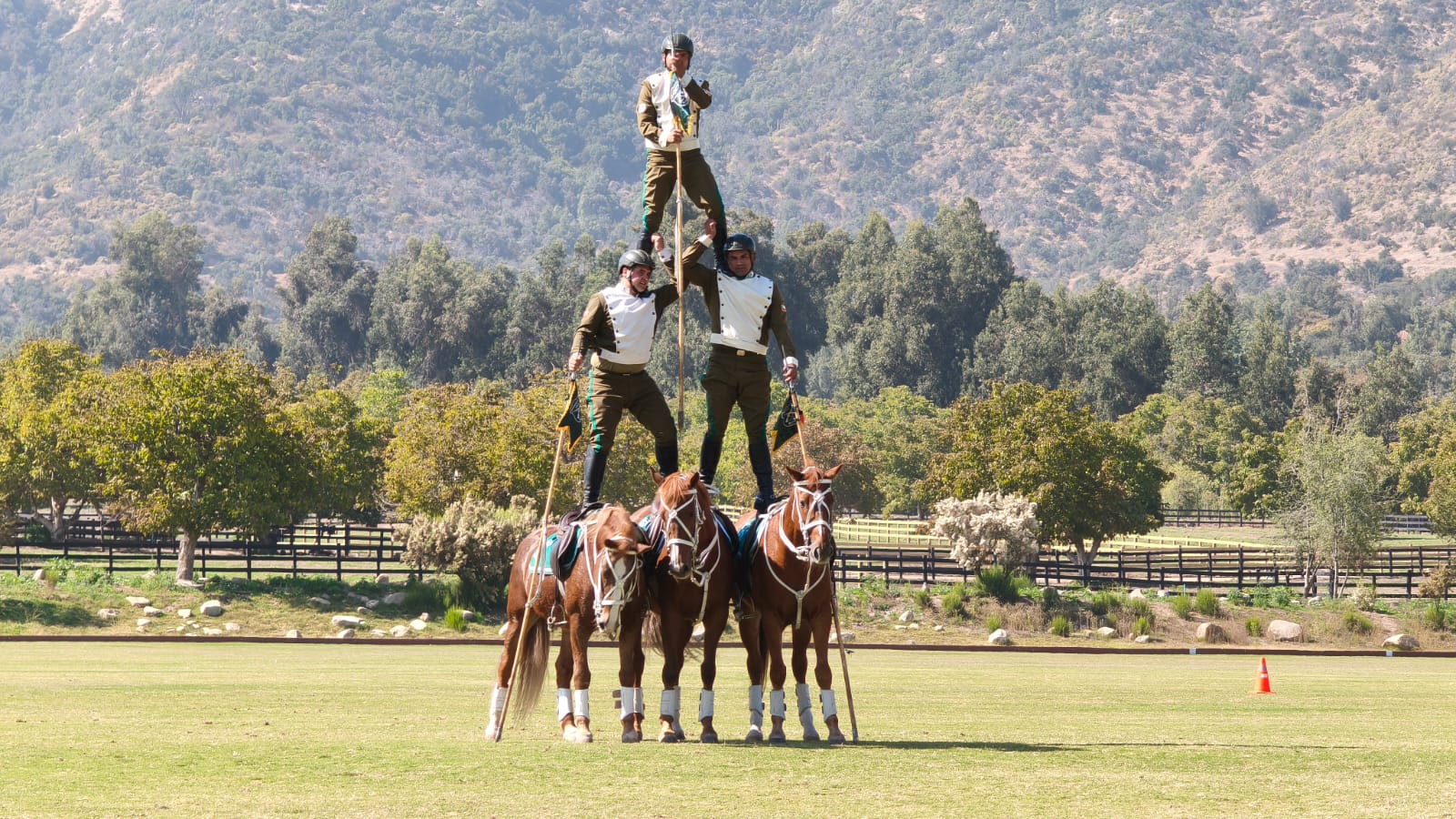 WhatsApp Image 2026 04 09 at 15.22.29