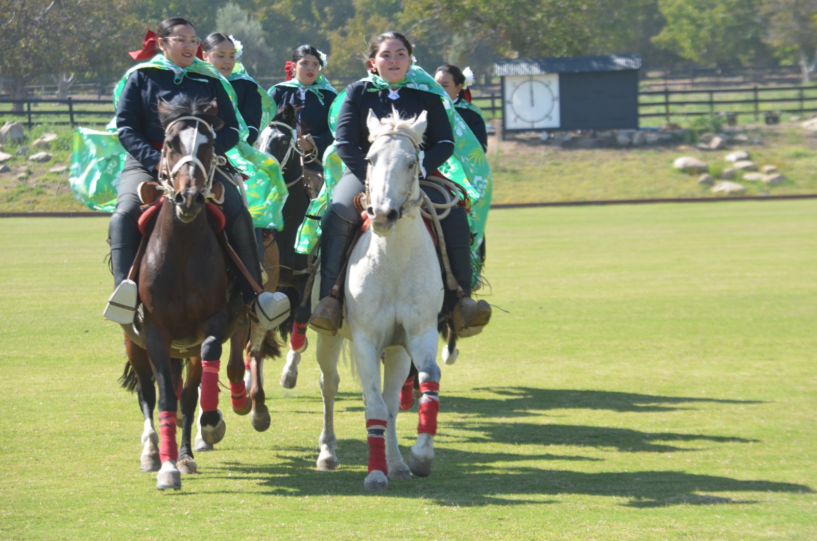 WhatsApp Image 2026 04 09 at 15.26.36