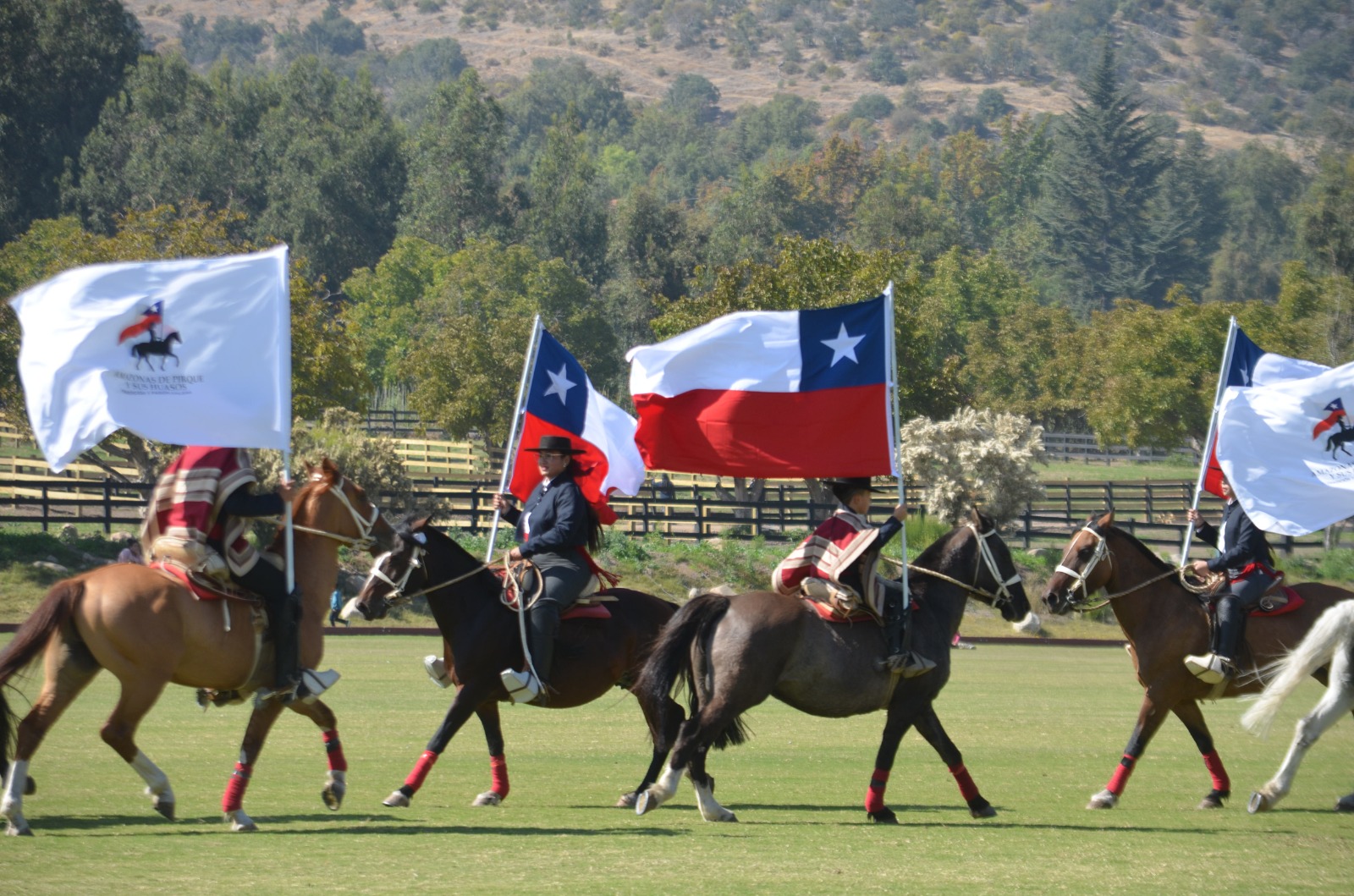 WhatsApp Image 2026 04 09 at 15.26.36 1