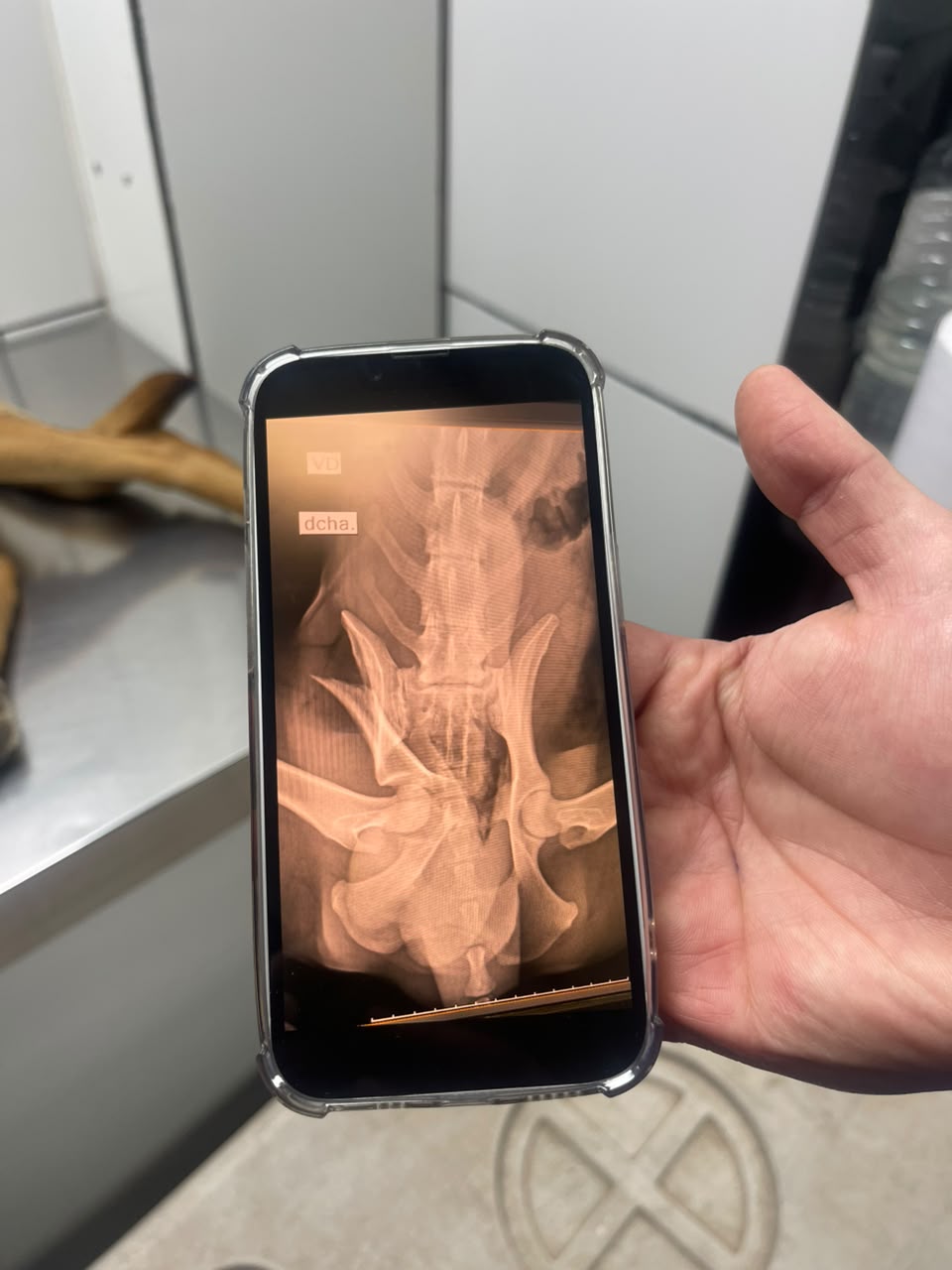 WhatsApp Image 2026 10 01 at 16.29.54 1