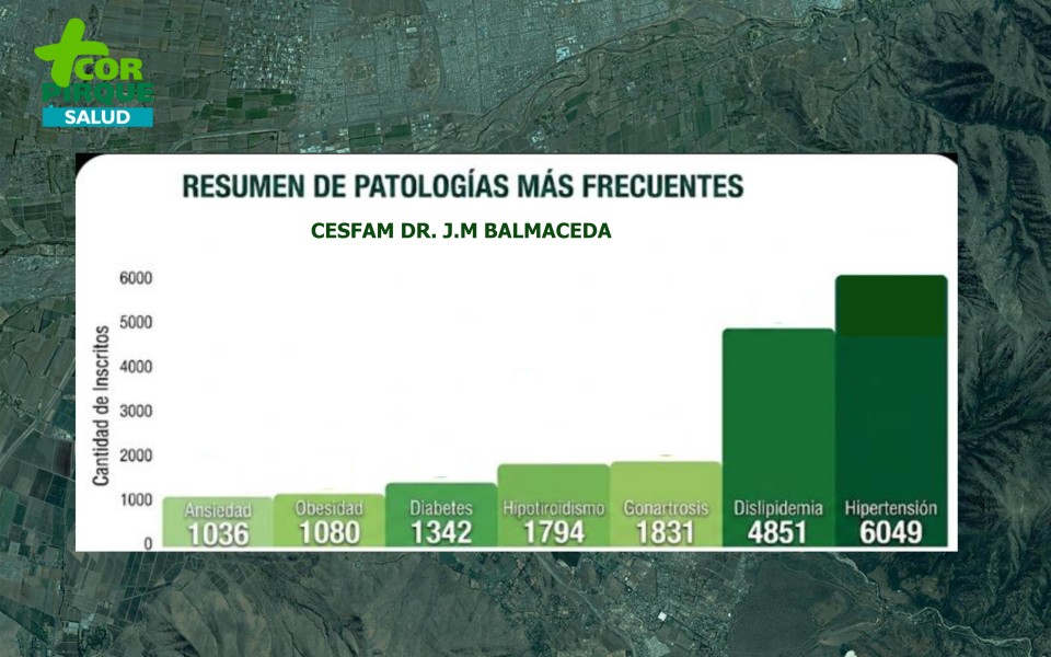 cuenta publica cuerpo 2 balmaceda