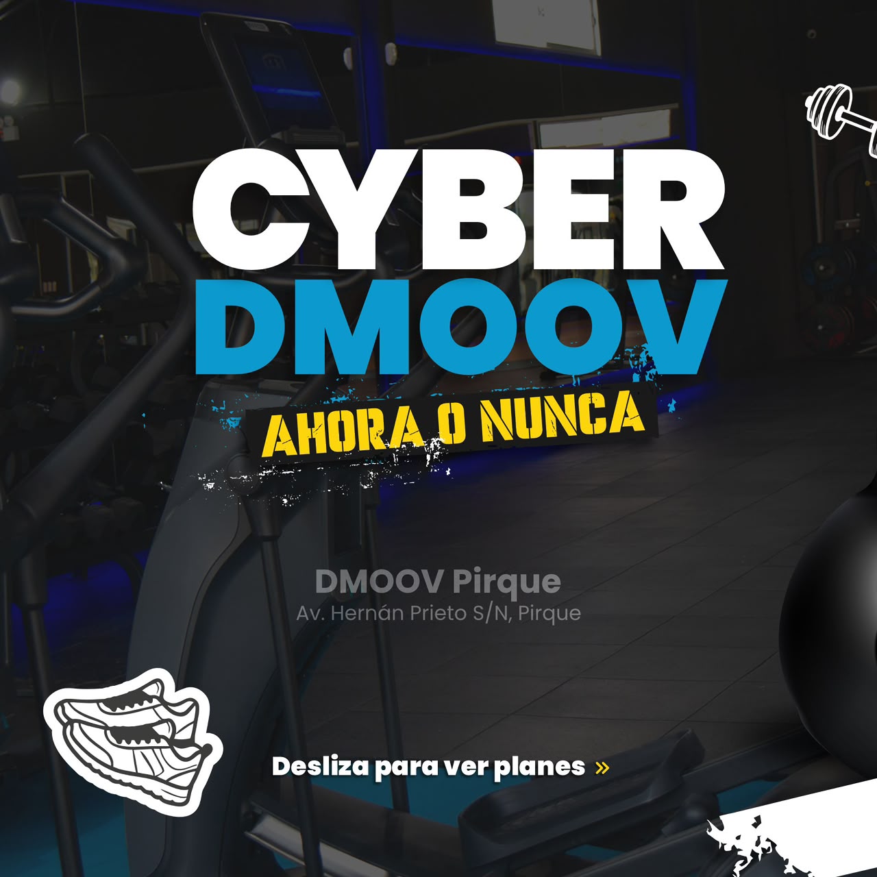 dmov cyber04