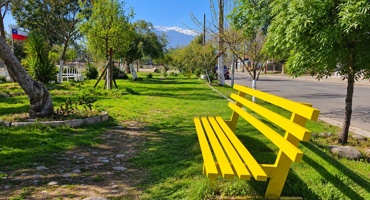 pintado 01
