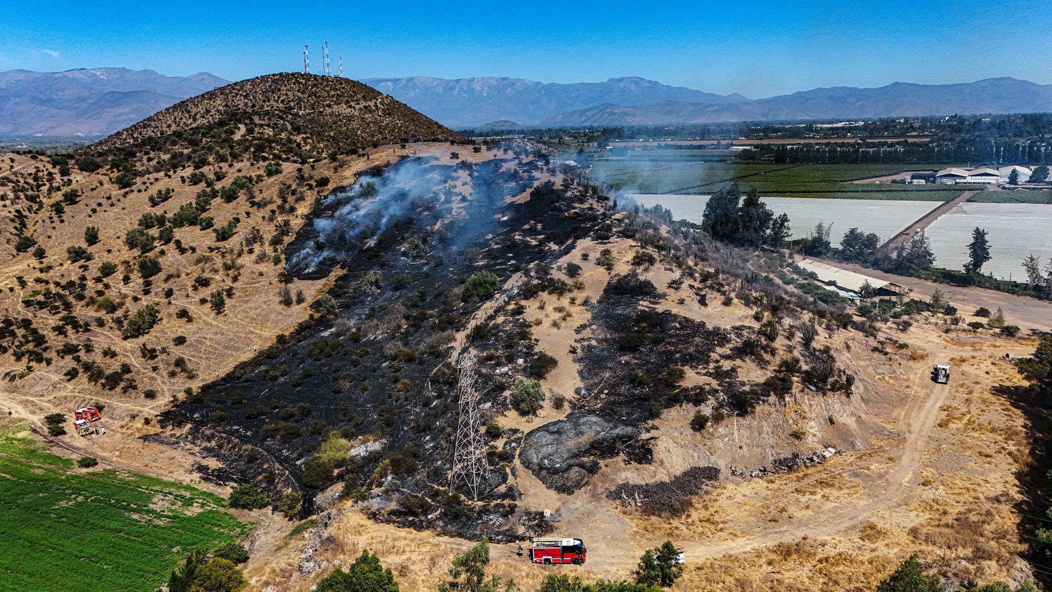 650133699 1350450620442732 8520236414682717654 n