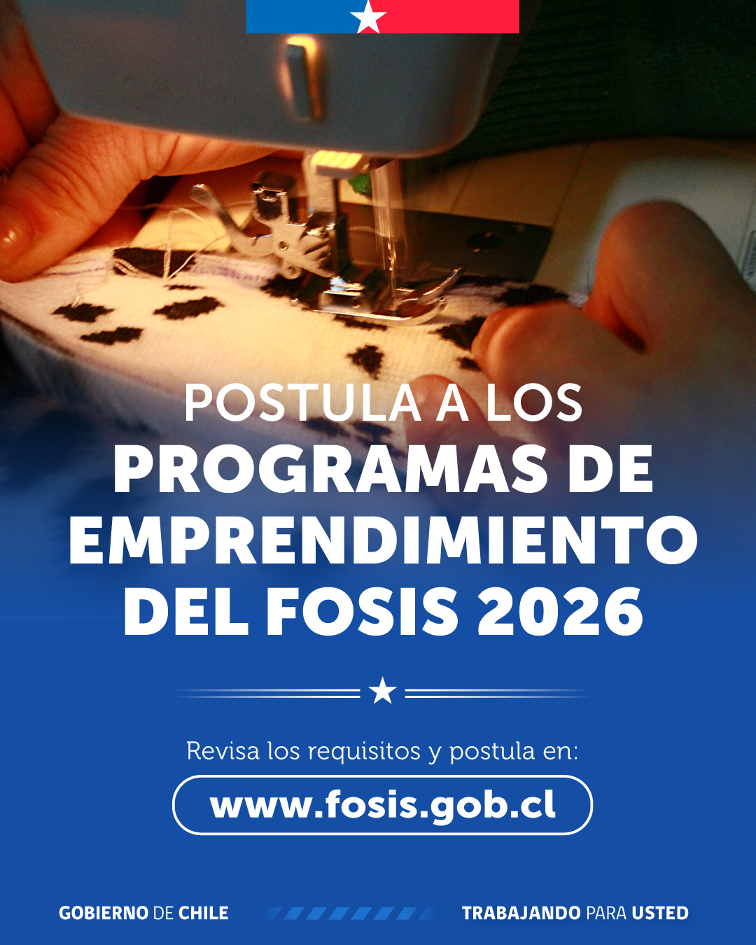 Postulacion Carrusel 01 Feed 01