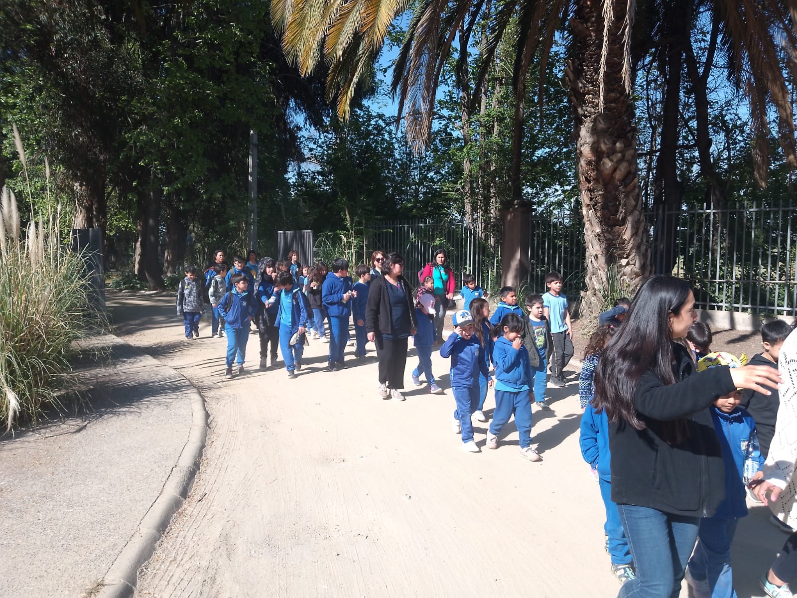 WhatsApp Image 2025 10 30 at 13.56.58