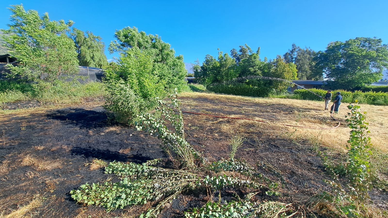 WhatsApp Image 2025 11 10 at 19.02.56