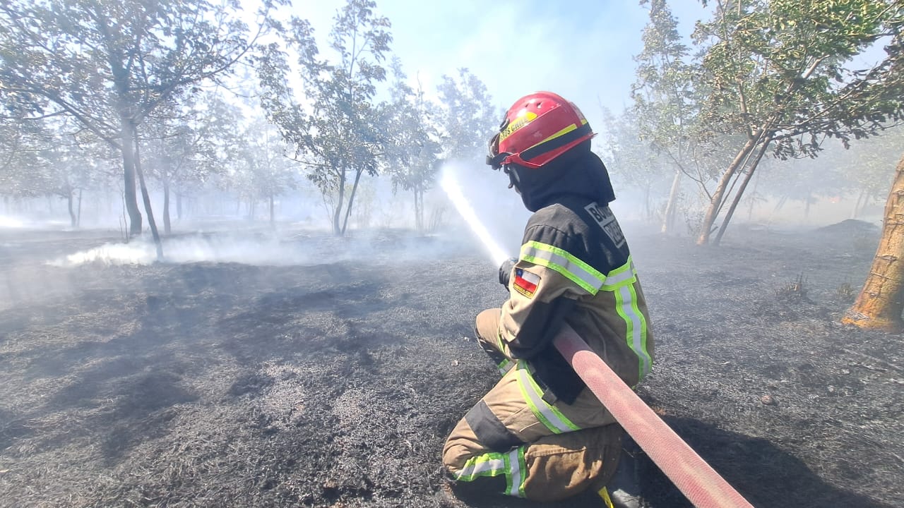 WhatsApp Image 2025 12 04 at 20.13.10 1