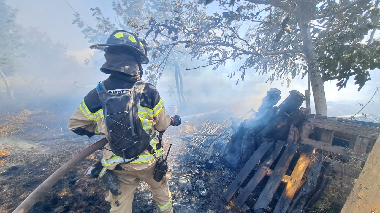 WhatsApp Image 2025 12 04 at 20.13.11