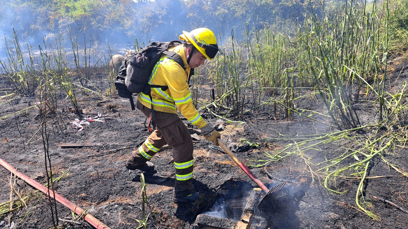 WhatsApp Image 2025 12 05 at 18.04.10