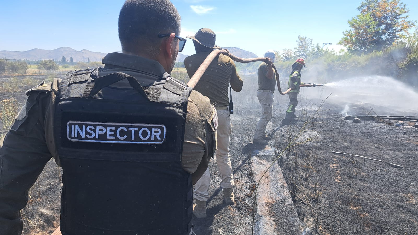 WhatsApp Image 2025 12 05 at 18.04.11