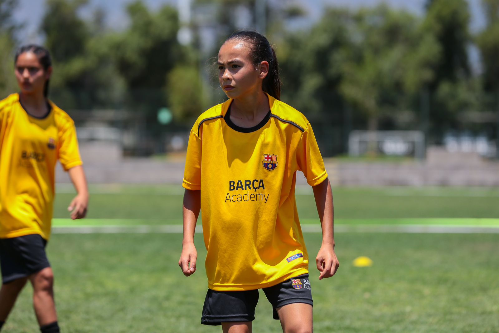 WhatsApp Image 2026 01 04 at 22.15.46 1