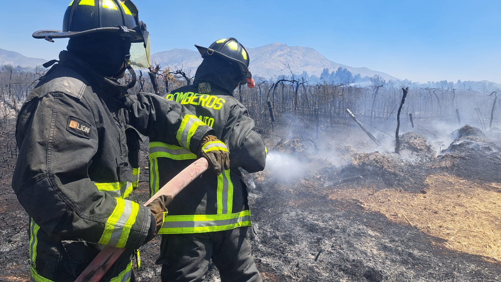 WhatsApp Image 2026 01 13 at 17.06.51