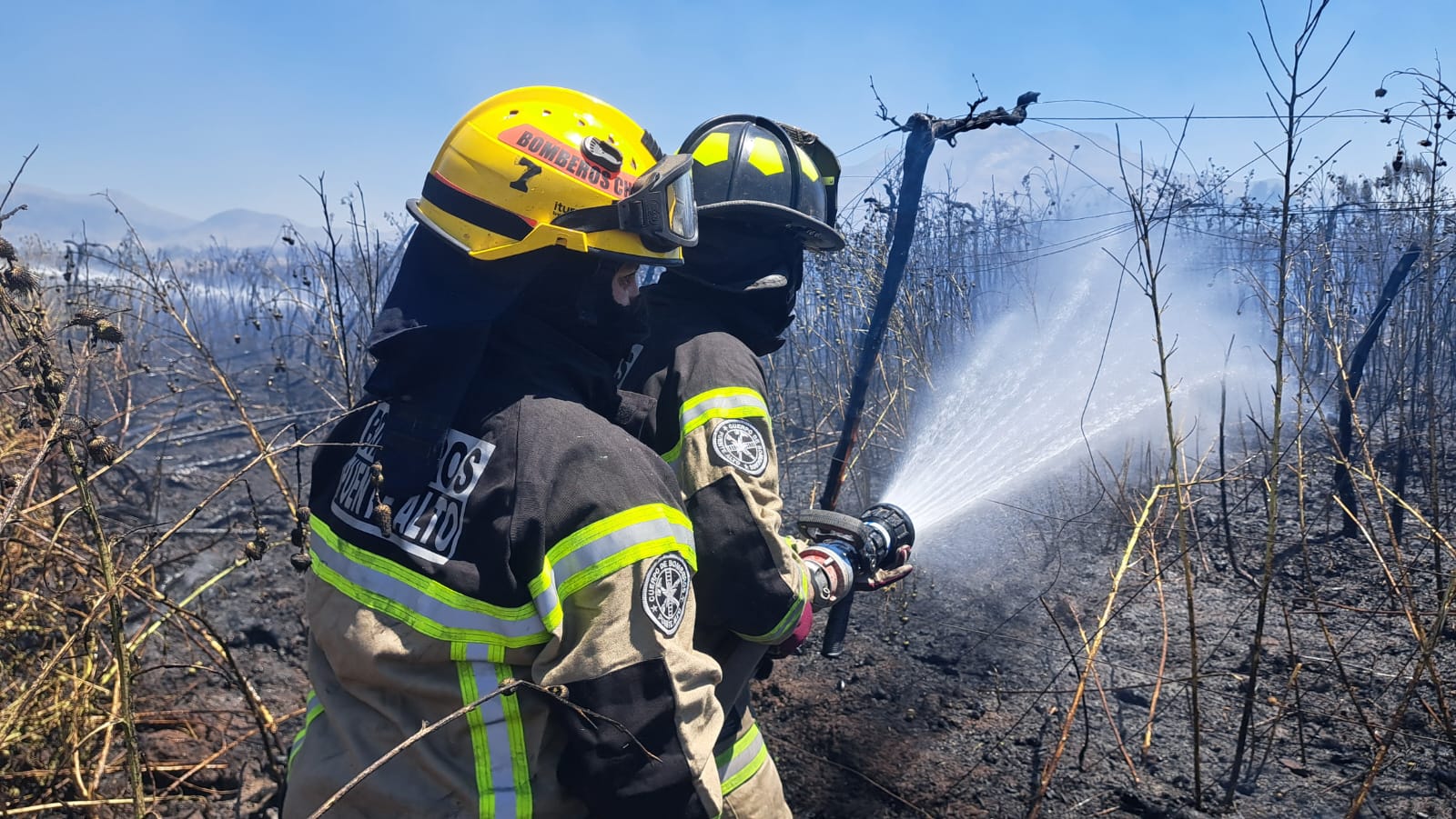 WhatsApp Image 2026 01 13 at 17.06.52