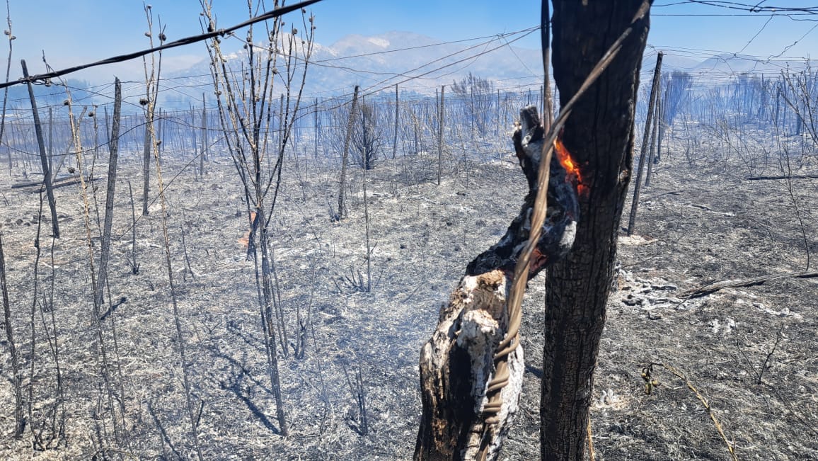 WhatsApp Image 2026 01 13 at 18.12.26 1