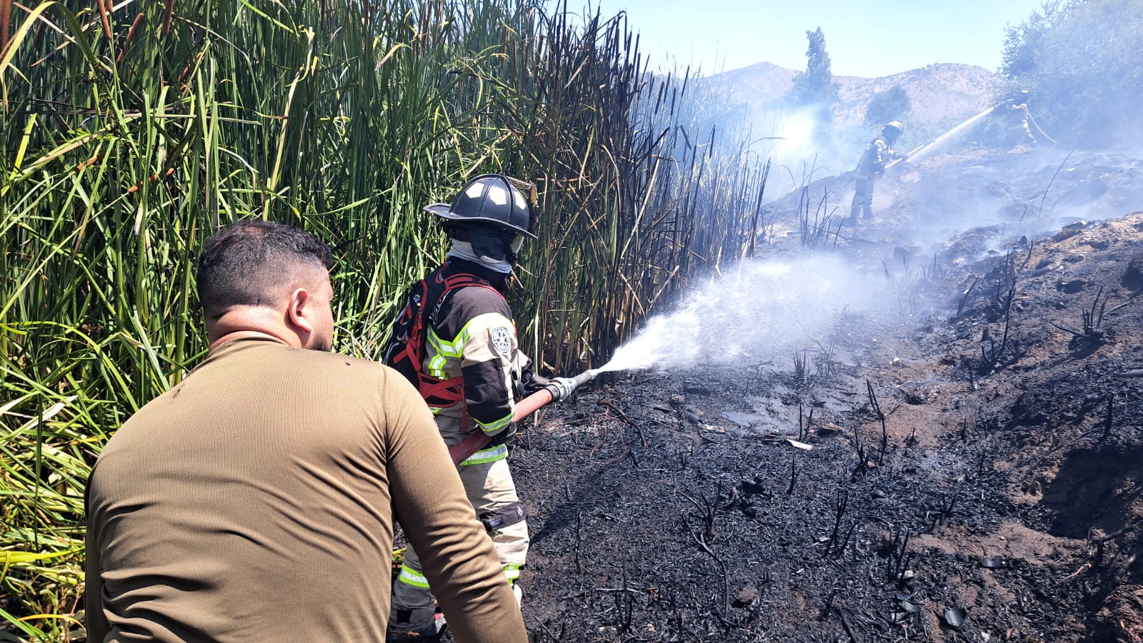 WhatsApp Image 2026 01 19 at 16.11.29