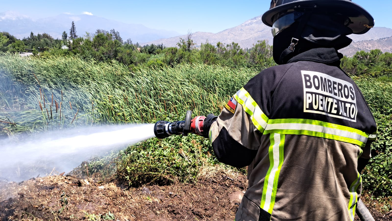 WhatsApp Image 2026 01 19 at 16.11.36 1