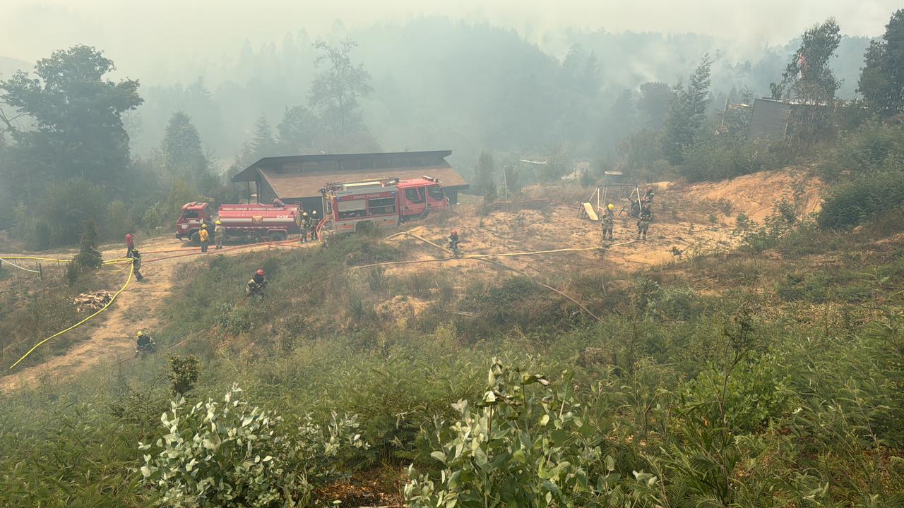 WhatsApp Image 2026 01 20 at 10.19.43