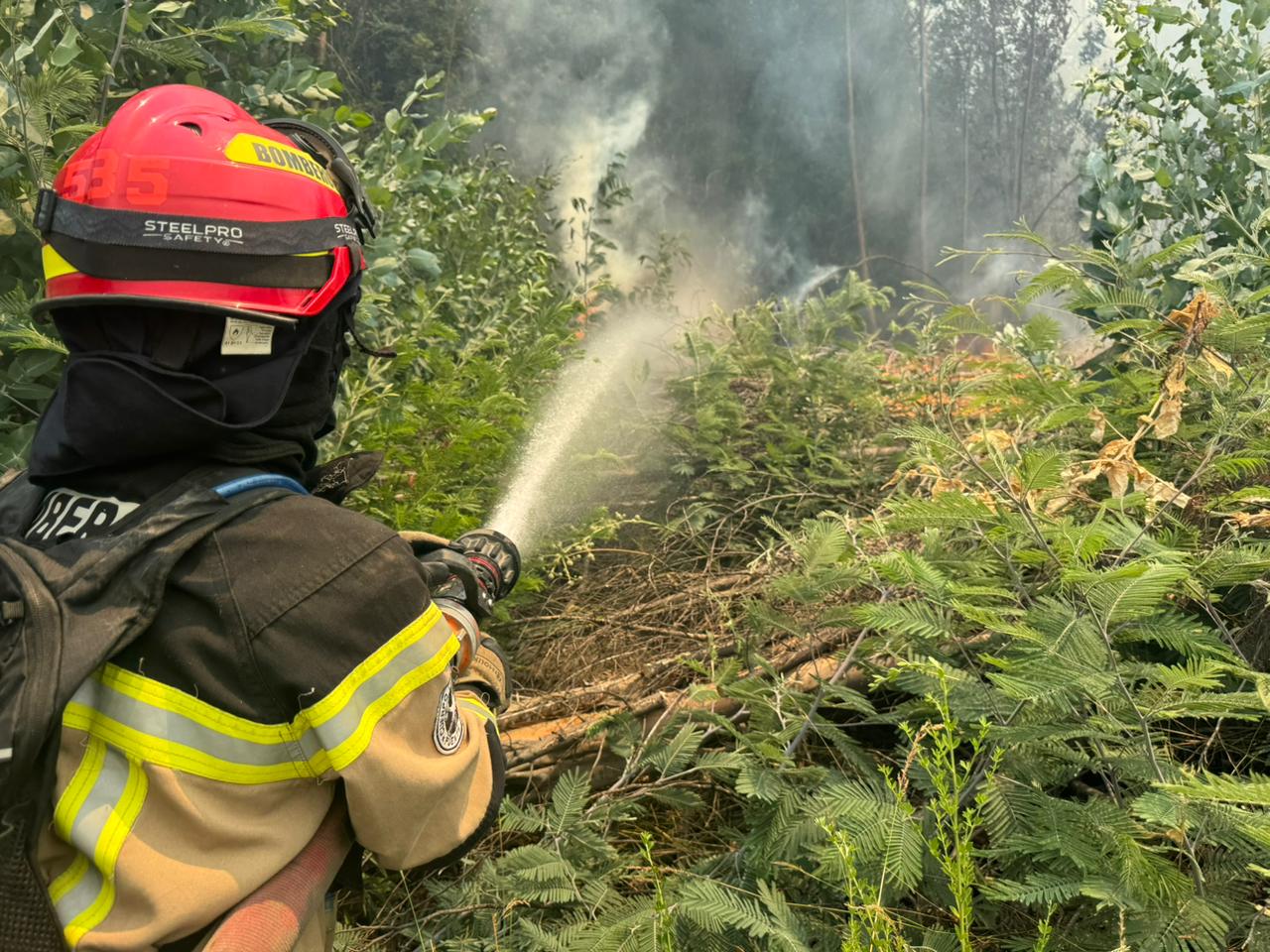 WhatsApp Image 2026 01 20 at 10.19.43 1