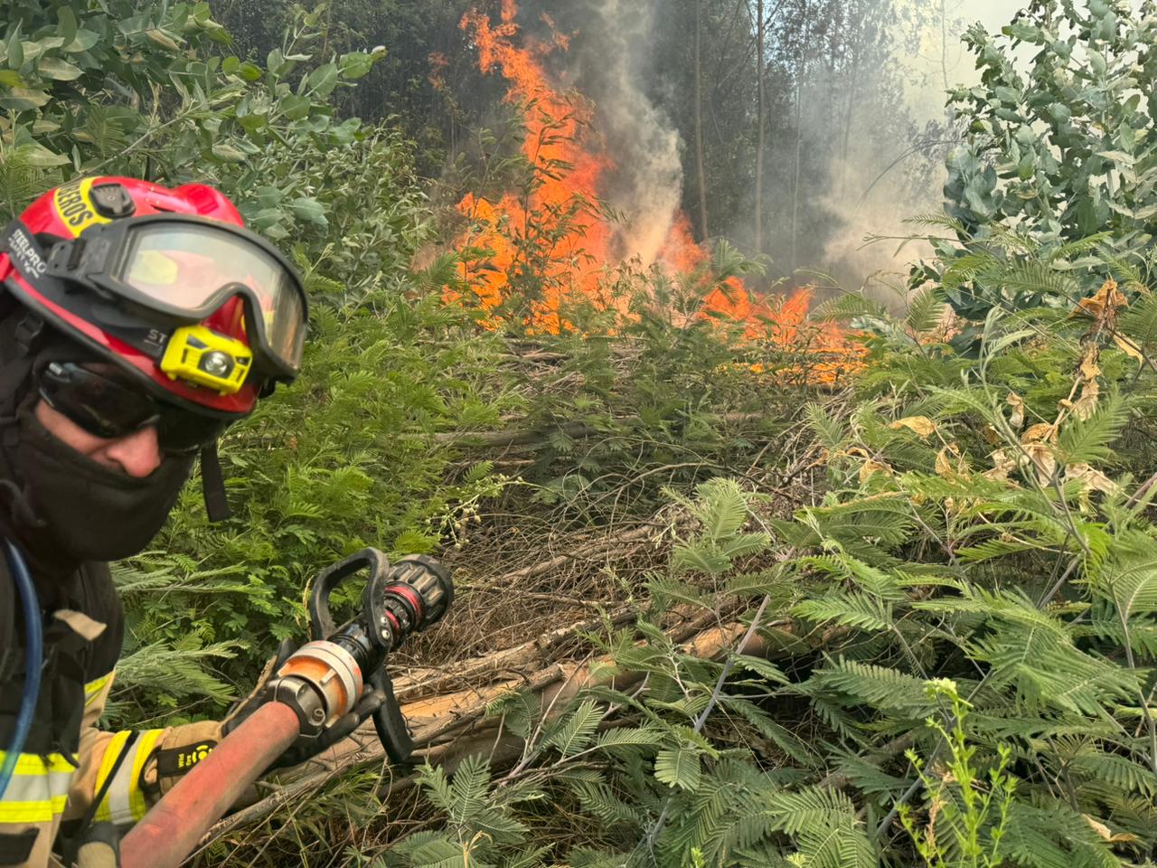 WhatsApp Image 2026 01 20 at 10.19.44 1