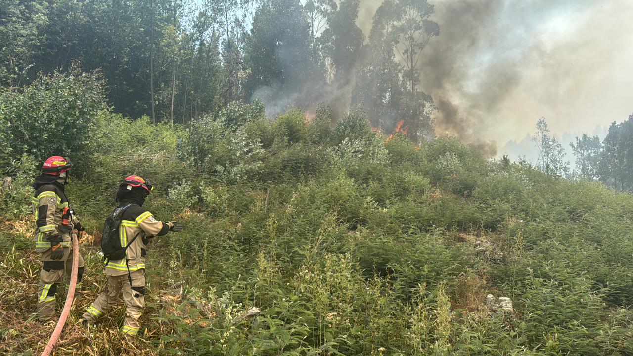 WhatsApp Image 2026 01 20 at 10.19.44 2