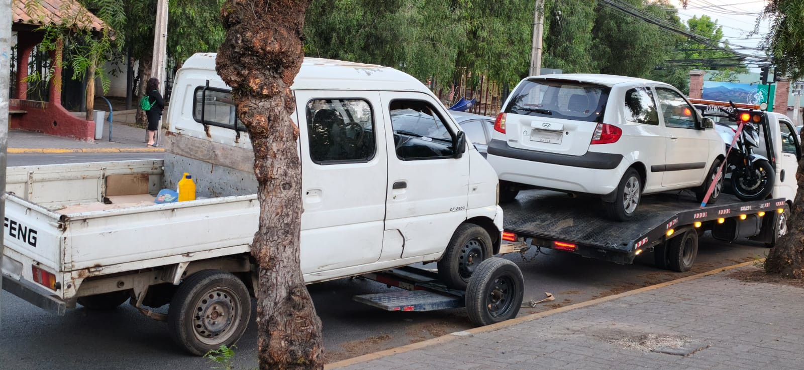 WhatsApp Image 2026 01 29 at 14.21.31