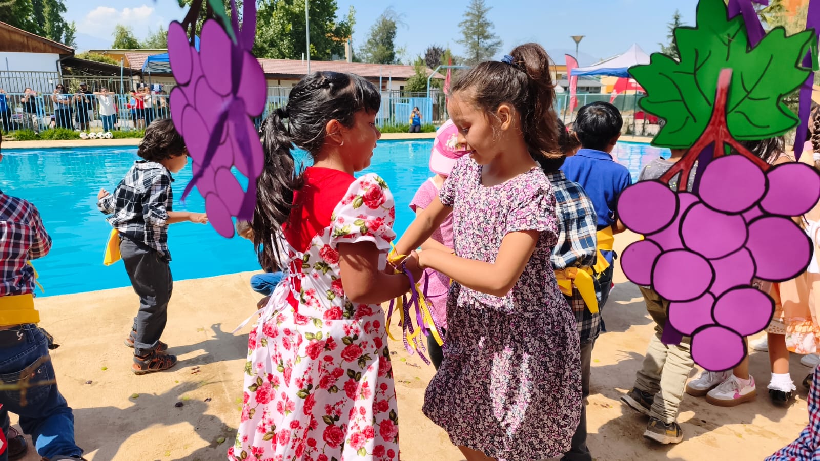 WhatsApp Image 2026 01 30 at 15.47.33